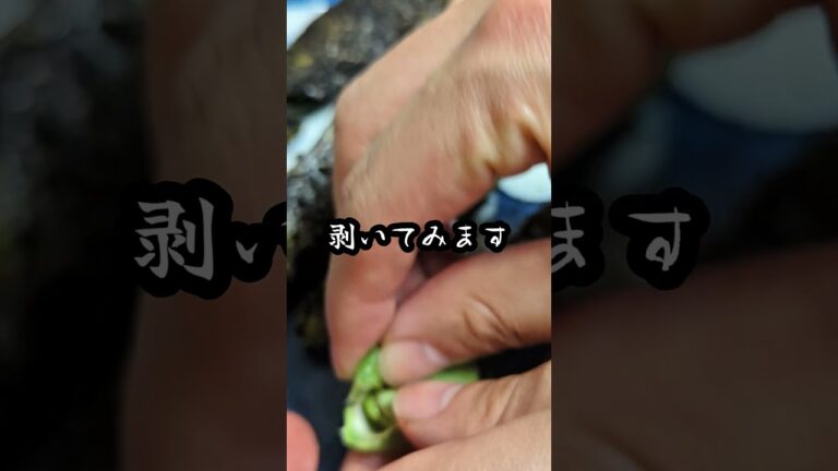 焼きそら豆 #料理 #簡単レシピ #おつまみ #そら豆