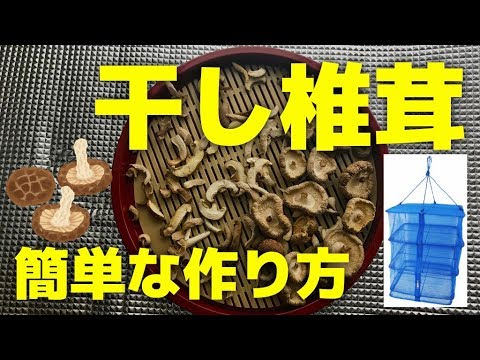 【きのこ】干し椎茸と冷凍シイタケの作り方【簡単な乾燥保存方法】