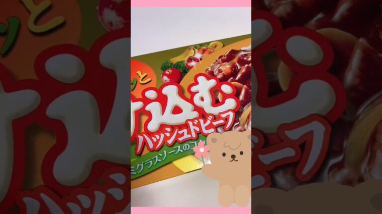 とけ込むハッシュドビーフシチュー😎🍽😋