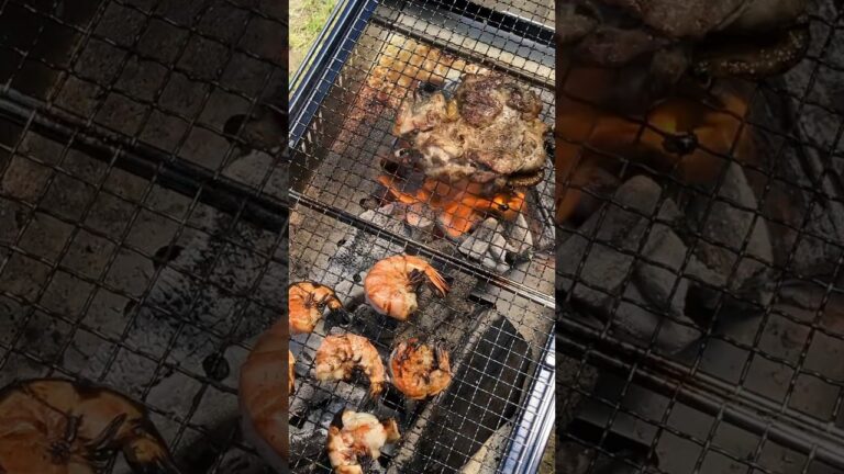 バーベキューで、鶏肉焼いたある日。