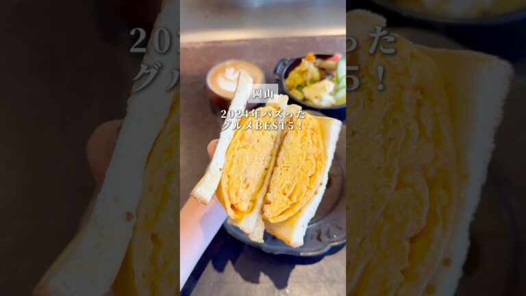 2024年超バズった岡山グルメBEST5！　#岡山　#japanesefood