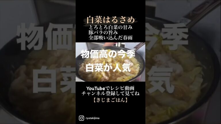 【ダイジェスト】白菜春雨　詳しくは動画本編で！#shorts #きじまごはん