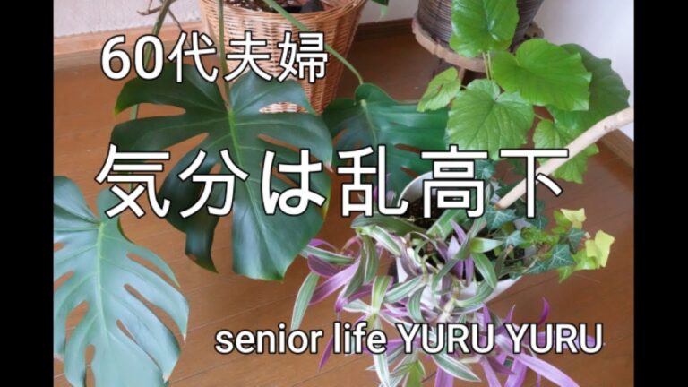 【シニアライフ】調子は曇りのち晴れ、ホタテと舞茸のクリームパスタ、