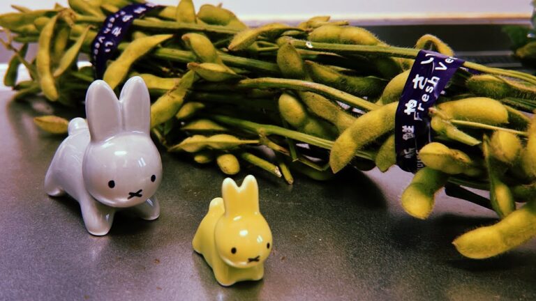 枝豆は何個取れるのか？