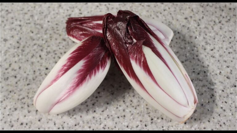 チコリ（ホワイトアスパラガス）のグラタンのレシピ  ベルギー産シコン　Chicons au gratin Chicons Rouges　　ヨーロッパの伝統家庭料理　医食同源オーガニック☆ビオキッチン