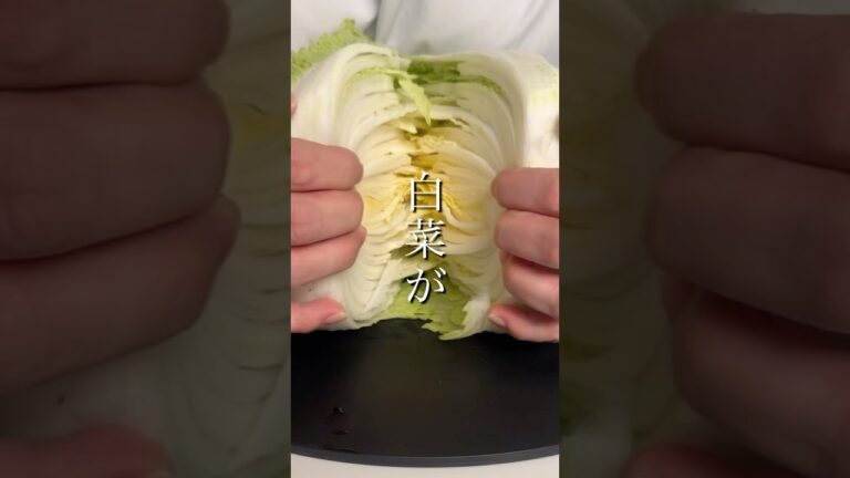 豚バラ×白菜、重ねるだけで優勝。