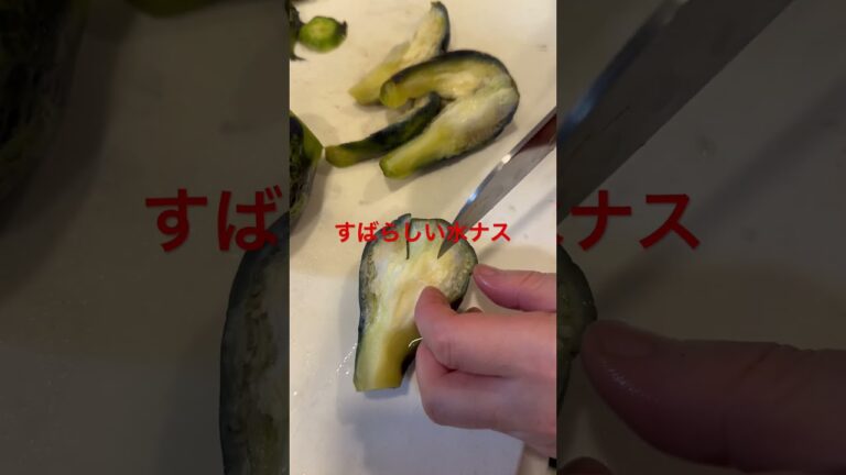 すばらしい水ナス