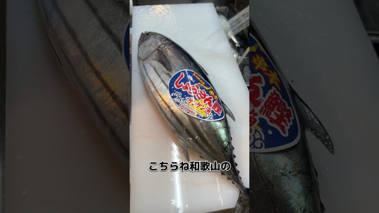 和歌山の 「しょらさん鰹」！おろしてみます！#せり人ムタロー #shorts