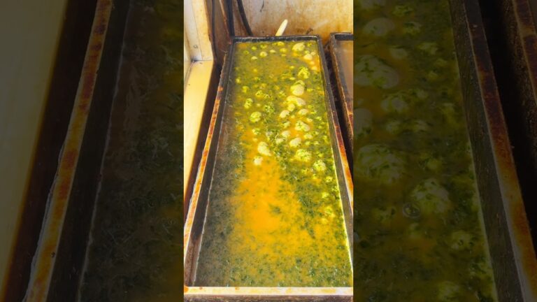 あおさ入りふわとろ玉子焼き🥚#japanesefood