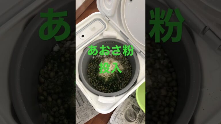 豆餅