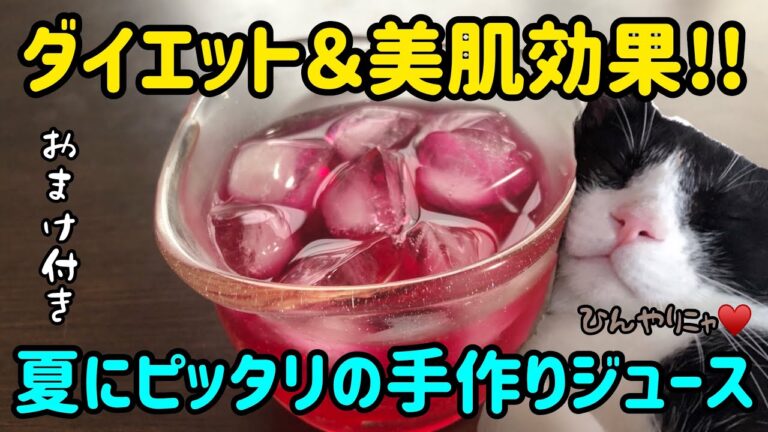 ダイエット＆美肌効果!!初夏にしか作れない手作りジュース🍷