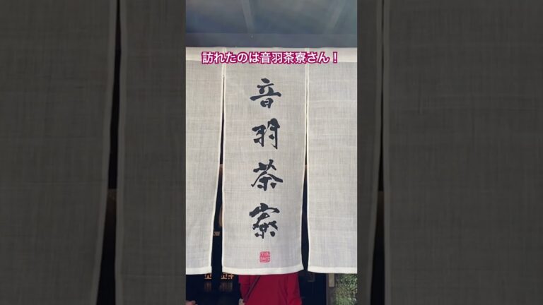 【夫婦Vlog】京都旅行 音羽茶寮でお昼ご飯！美味しい天ぷら蕎麦🍤 京都府#shorts