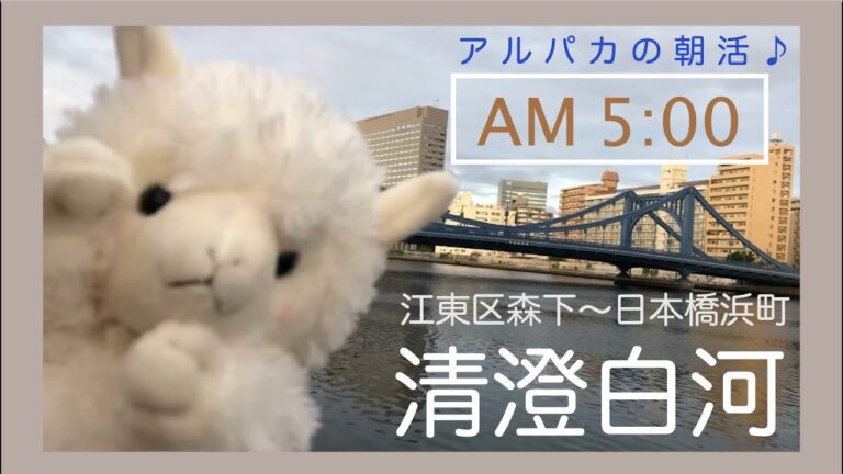 日本橋〜清澄白河で夜明けを迎える／アルパカ【Tokyo  Kiyosumi-shirakawa】
