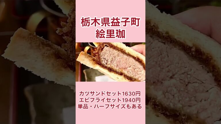 肉厚カツサンドと巨大エビフライサンド【栃木県益子町】絵里珈【栃木グルメ】#shorts