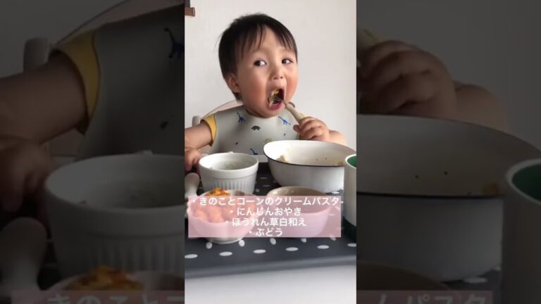 1歳4ヶ月の1日の食事😋