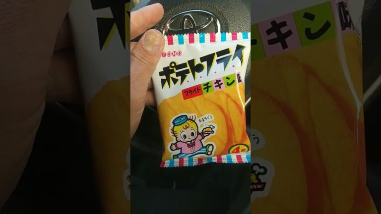 ポテトフライ【駄菓子】が美味すぎる！