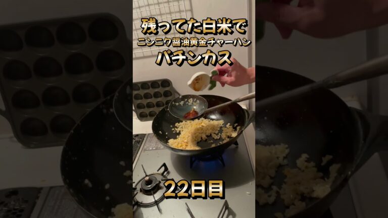 残ってた白米を中華鍋一つで黄金炒飯にするパチンカス。100日後に絶品炒飯作る人。22日目。