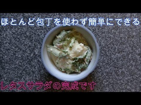 レタスが大量に食べれるサラダ