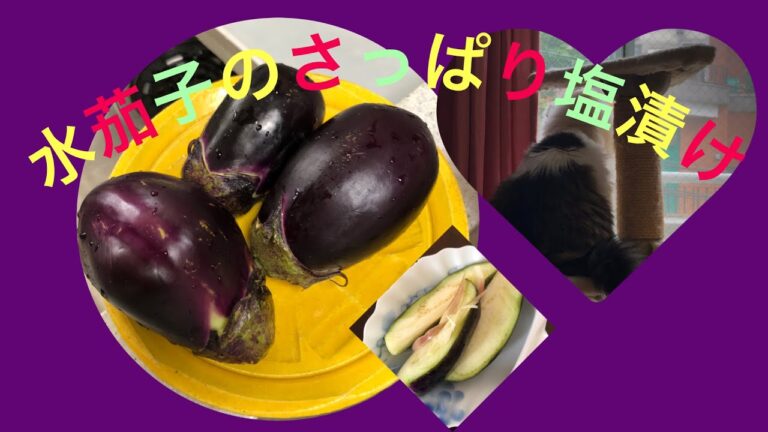 水茄子のさっぱり塩漬け！