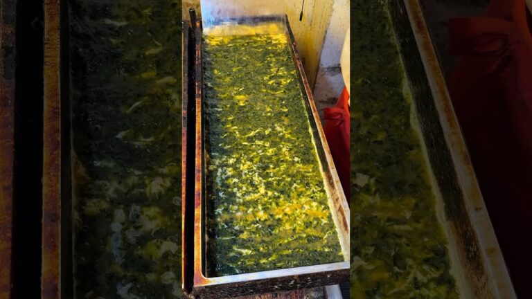 巨大鉄板で豪快に作る、あおさ玉子焼き🥚#japanesefood