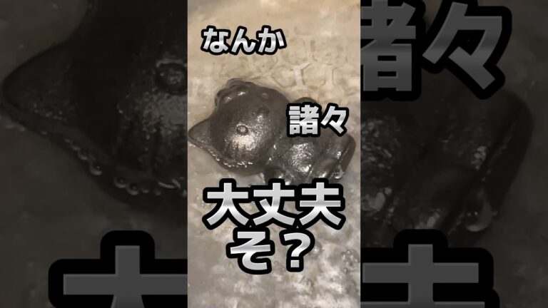 【鉄分不足解消！】効果抜群と言われている鉄玉って味とか諸々実際どうなん…？ #鉄分 #栄養不足解消 #めざせイッテq #食レポ #鉄玉 #冨永愛  #鉄 #自炊 #白湯 #おすすめ #美容 #健康