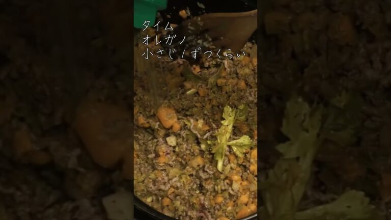 イギリスの代表的な給食メニュー！チリコンカンの作り方：[50代、60代シニア世代] #イギリス料理 #イギリス生活