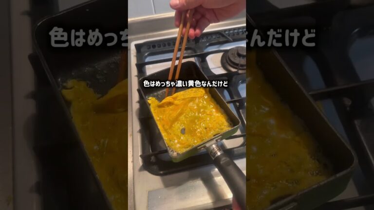 卵焼き、卵黄だけ vs 卵白だけ｜どっちがうまい？ #卵焼き #料理実験 #卵白 #卵黄 #比較検証
