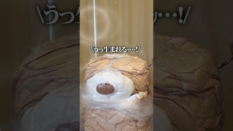 巨大ぬいぐるみを買うとこうなる #shorts