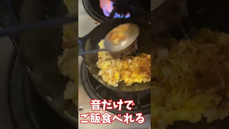 【厨房撮影】繁華街の一本路地裏！サブカル町中華！路地裏餃子