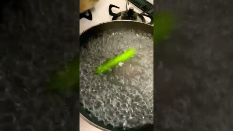 うりずん豆。塩茹で。お湯の中で水車みたいに回るんですね。