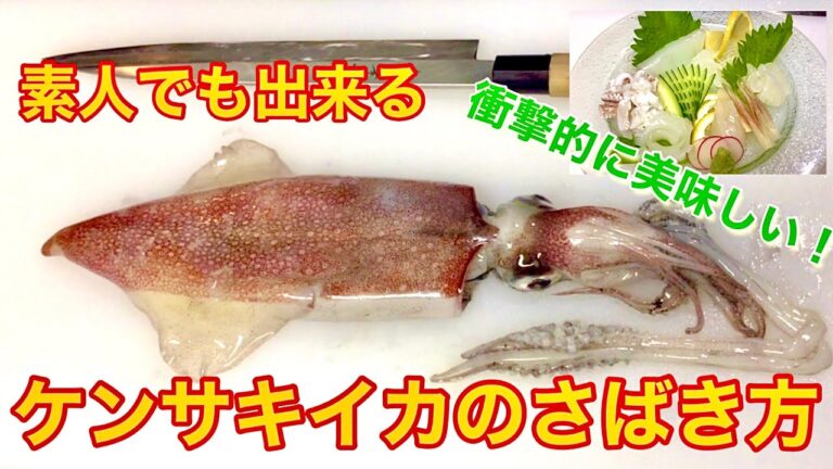 素人でも出来るケンサキイカ（ヤリイカ）のさばき方