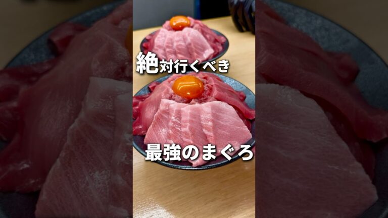 まぐろ好きに本当におすすめしたい！本鮪メガ丼!!【永福町】