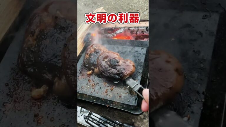 目と耳で楽しむ巨大シイタケ！料理オンチの嫁はしいたけステーキすらまともに作れない？【簡単キャンプ飯】
