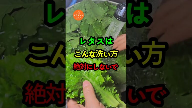 レタスは、こんな洗い方絶対にしないで！