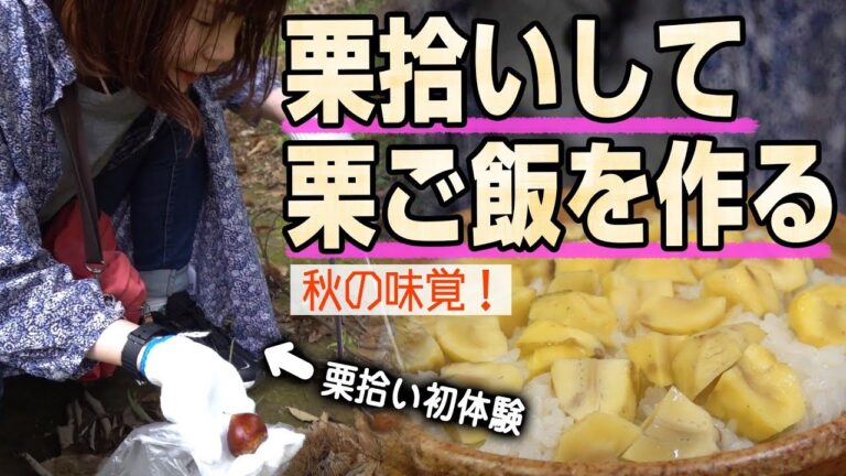 【秋の味覚特集】栗拾いからガチで栗ご飯を作る！栗ご飯レシピ