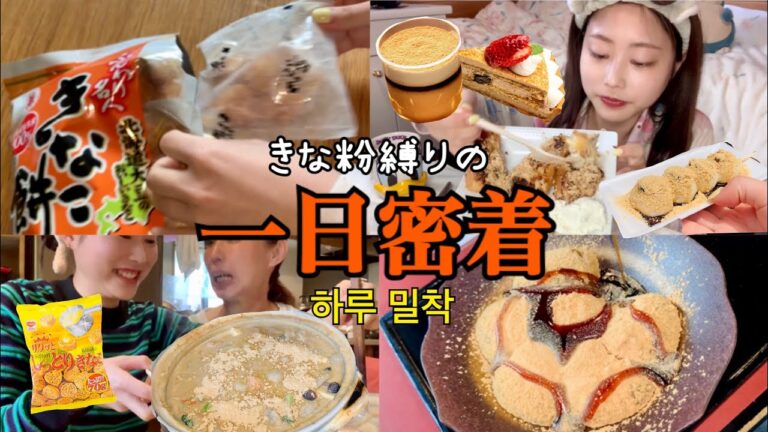 【爆食vlog】完全に中毒👽💥きな粉は健康的やから大丈夫よね、、史上最高にきな粉食べた日🤭
