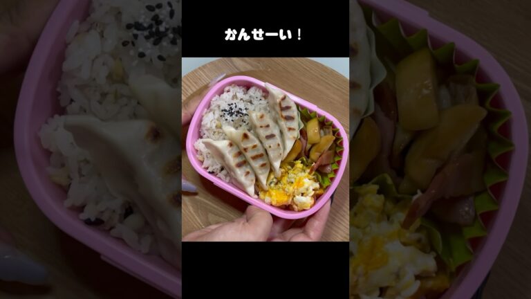 冷凍ギョーザ美味い！ #おかずレシピ #ずぼら弁当 #簡単レシピ #ひとりごはん #自炊 #お弁当 #ずぼら飯 #毎日弁当 #vlog #焼肉弁当