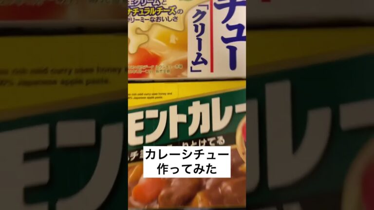 カレーシチュー作ってみた結果#shorts #カレー #シチュー #うんこ