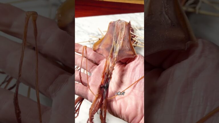 今宵スルメで呑む酒ヲ【ASMR】 #shorts