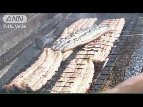 きょうは土用丑の日　高騰の中　うなぎ老舗店値下げ(13/07/22)