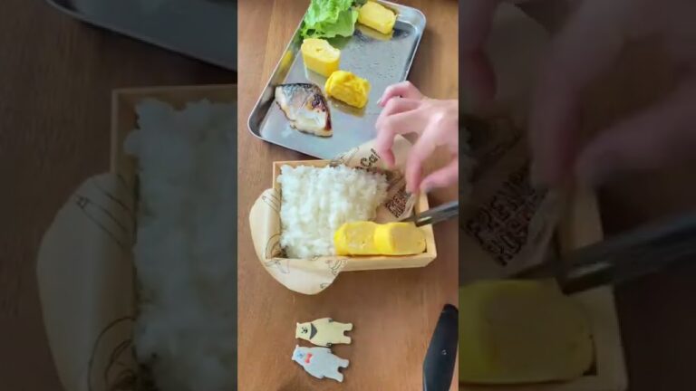 鯖の西京焼きお弁当#おべんとう #お弁当 #嫁 ＃嫁の日常#夫弁当