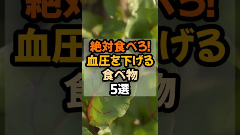 絶対食べろ！血圧を下げる食べ物5選  #健康 #栄養 #健康情報