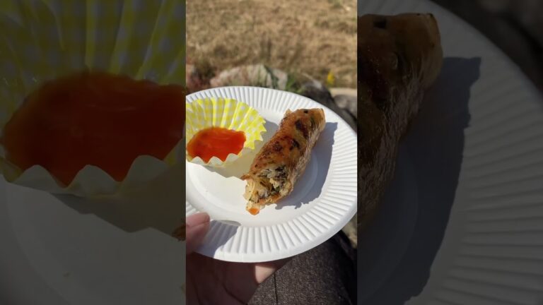 フォーと揚げ春巻き(ベトナム料理／Pho and Fried Spring Rolls (Vietnamese Cuisine)