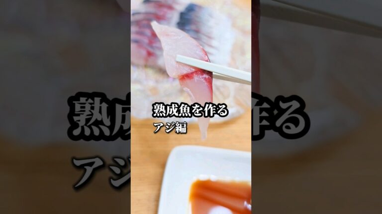 家庭でできる熟成アジの作り方　魚の保存にも #熟成魚 #刺身 #魚の捌き方