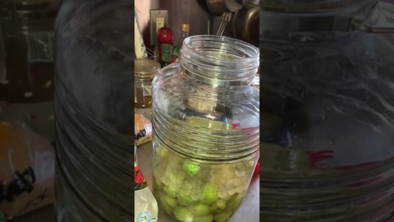 さしす梅酢の作り方動画です。