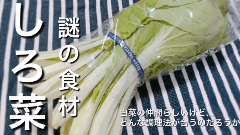 【謎の食材】あまり見ないしろ菜が八百屋に売ってたので買って調理してみた！豚バラとしろ菜の炊いたん、しろ菜の浅漬け【しろ菜レシピ】