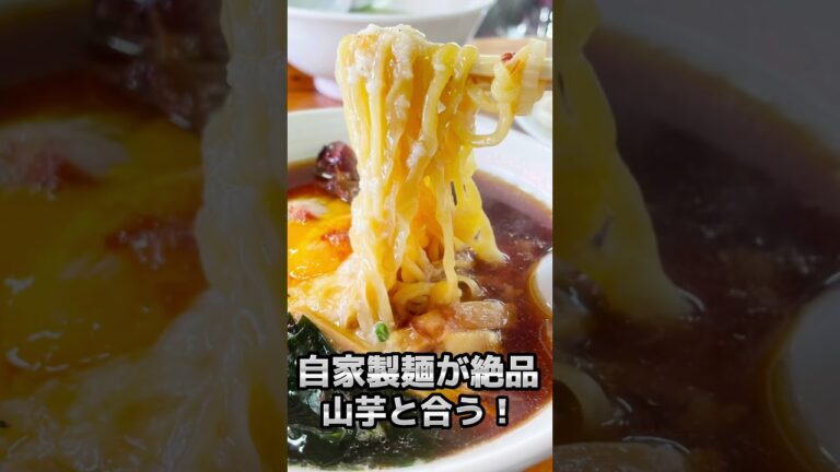 ダム湖畔で食べる昔ながらのラーメン とん吉（浜松市天竜区）#shorts