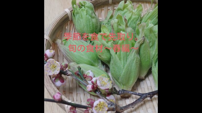 【旬の食材～春編～】