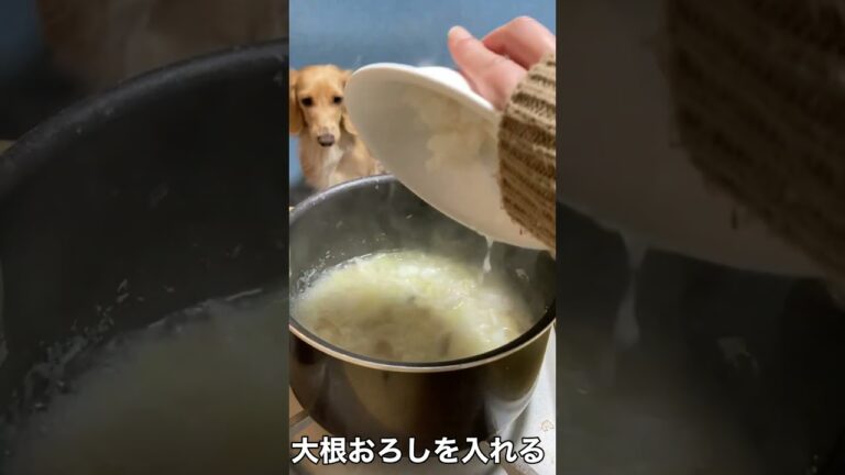 【イヌメシクッキング】魚の旨味が詰まった！海鮮おじや#shorts