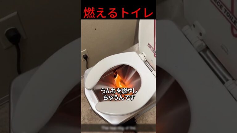 うんちを燃やすトイレ #shorts